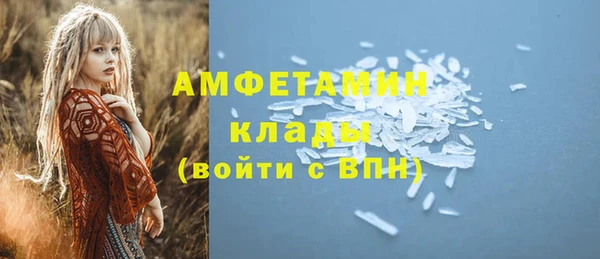 индика Волоколамск