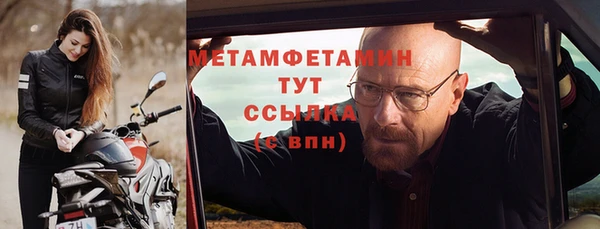 индика Волоколамск