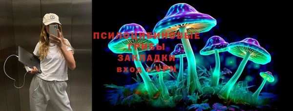 индика Волоколамск