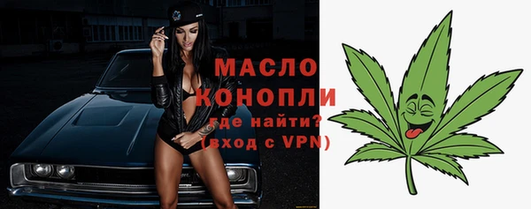 индика Волоколамск