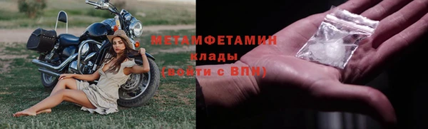 индика Волоколамск