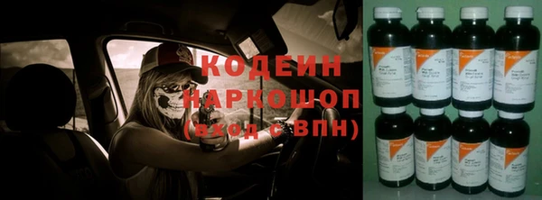 индика Волоколамск