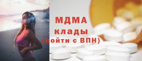 индика Волоколамск