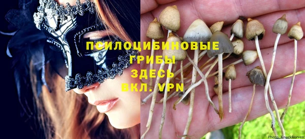 амф Володарск