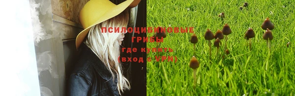 ешки Волосово