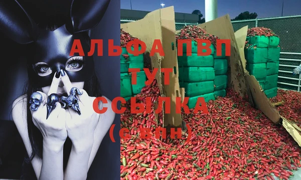индика Волоколамск