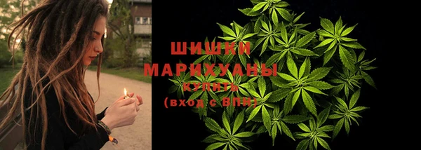 амф Володарск