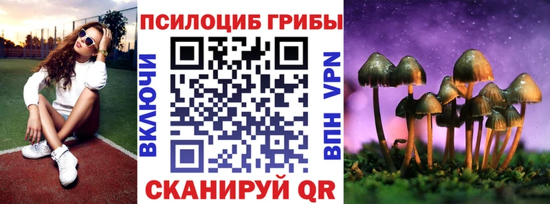 закладка  Назарово  Псилоцибиновые грибы Psilocybine cubensis 